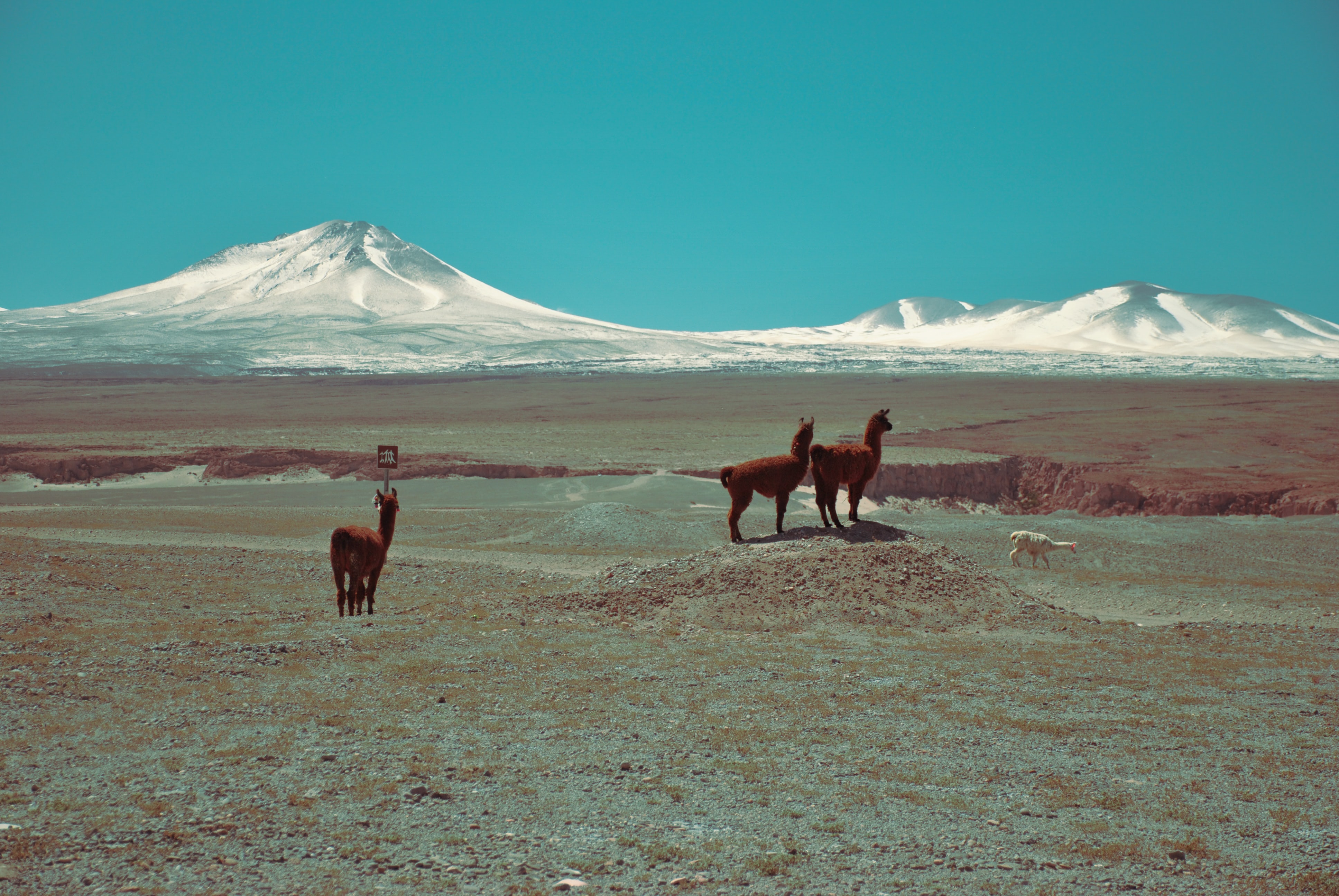 Paisaje desierto de atacama